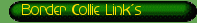Border Collie Link�s